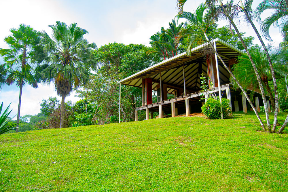 Osa Pen Realty Your Key To Paradise! Osa Peninsula, Puntarenas