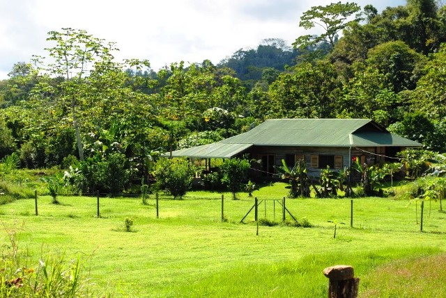 Osa Pen Realty Your Key To Paradise Osa Peninsula Costa Rica Osa Pen Realty Your Key To Paradise Osa Peninsula Costa Rica