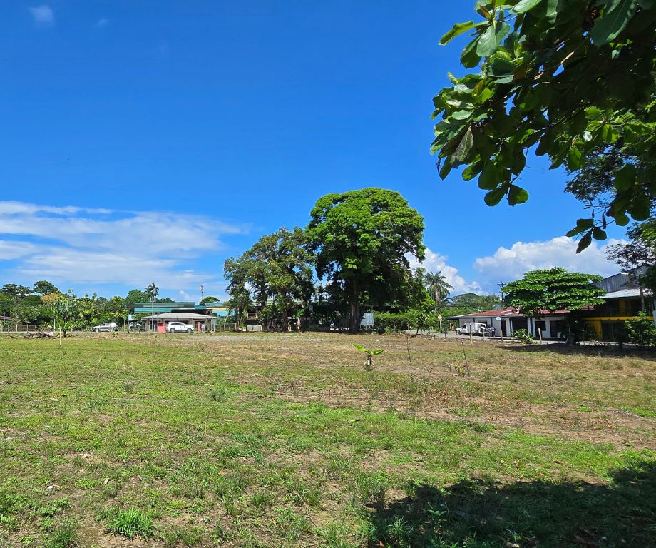 Mango property image 1