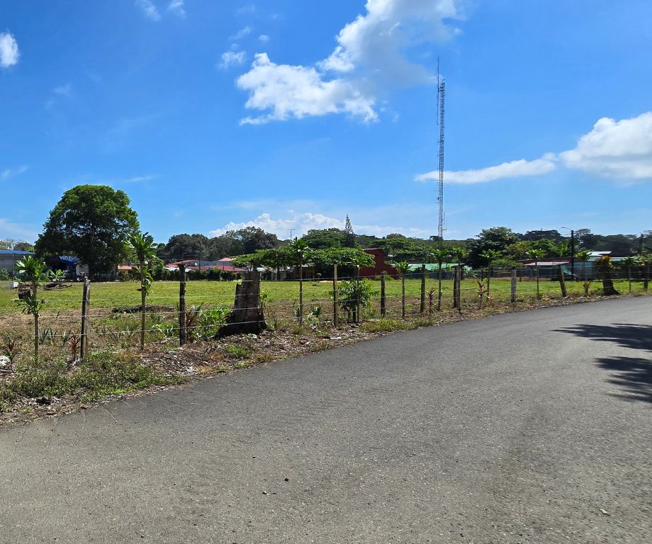 Mango property image 2